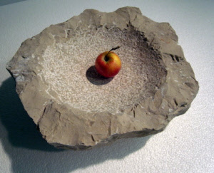 Shell of Jurassic limestone